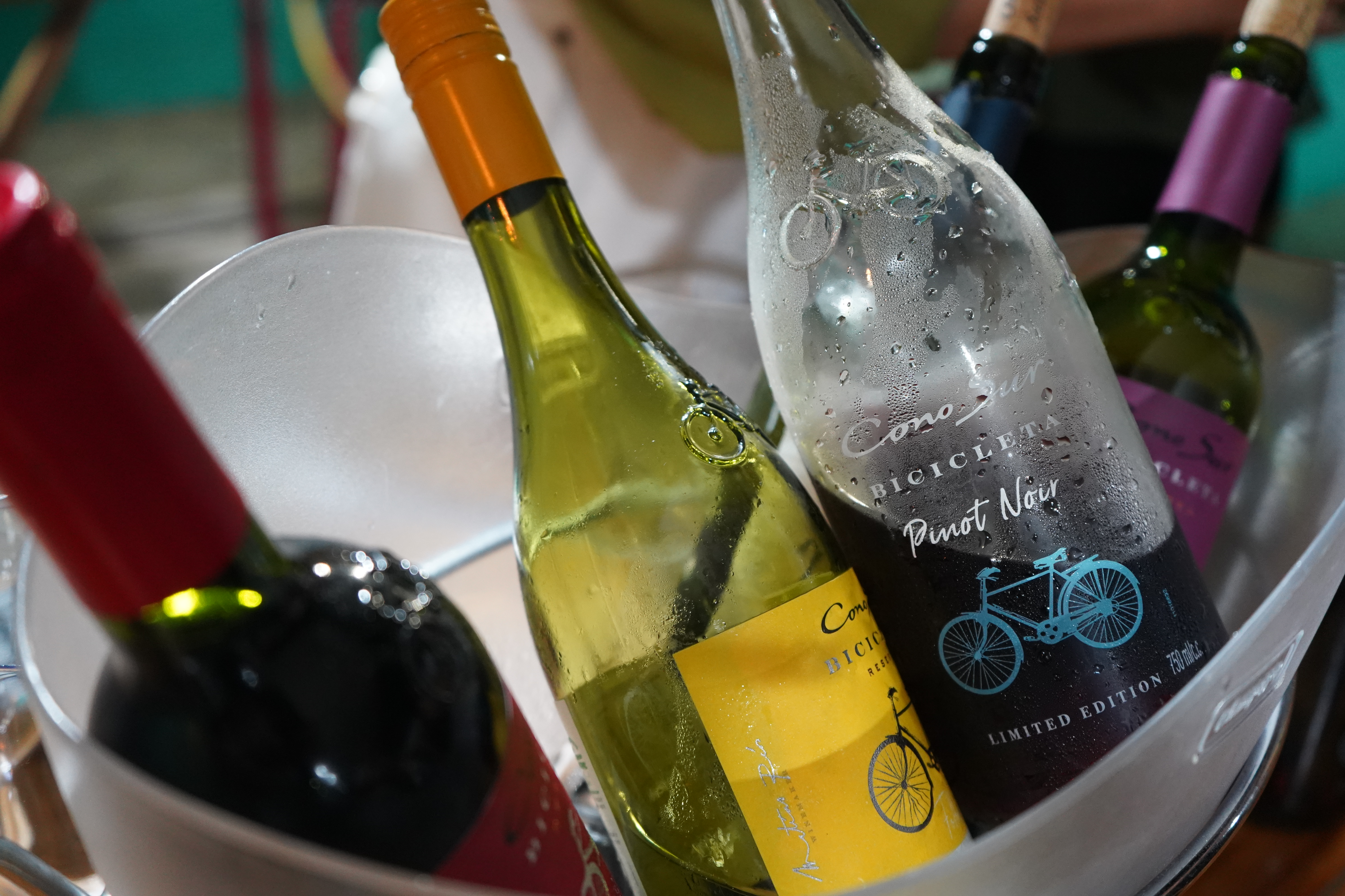 FESTIVAL DE INVERNO “VINHO & MAR” MOVIMENTA GURIRI EM DOIS DIAS DE PROGRAMAÇÃO