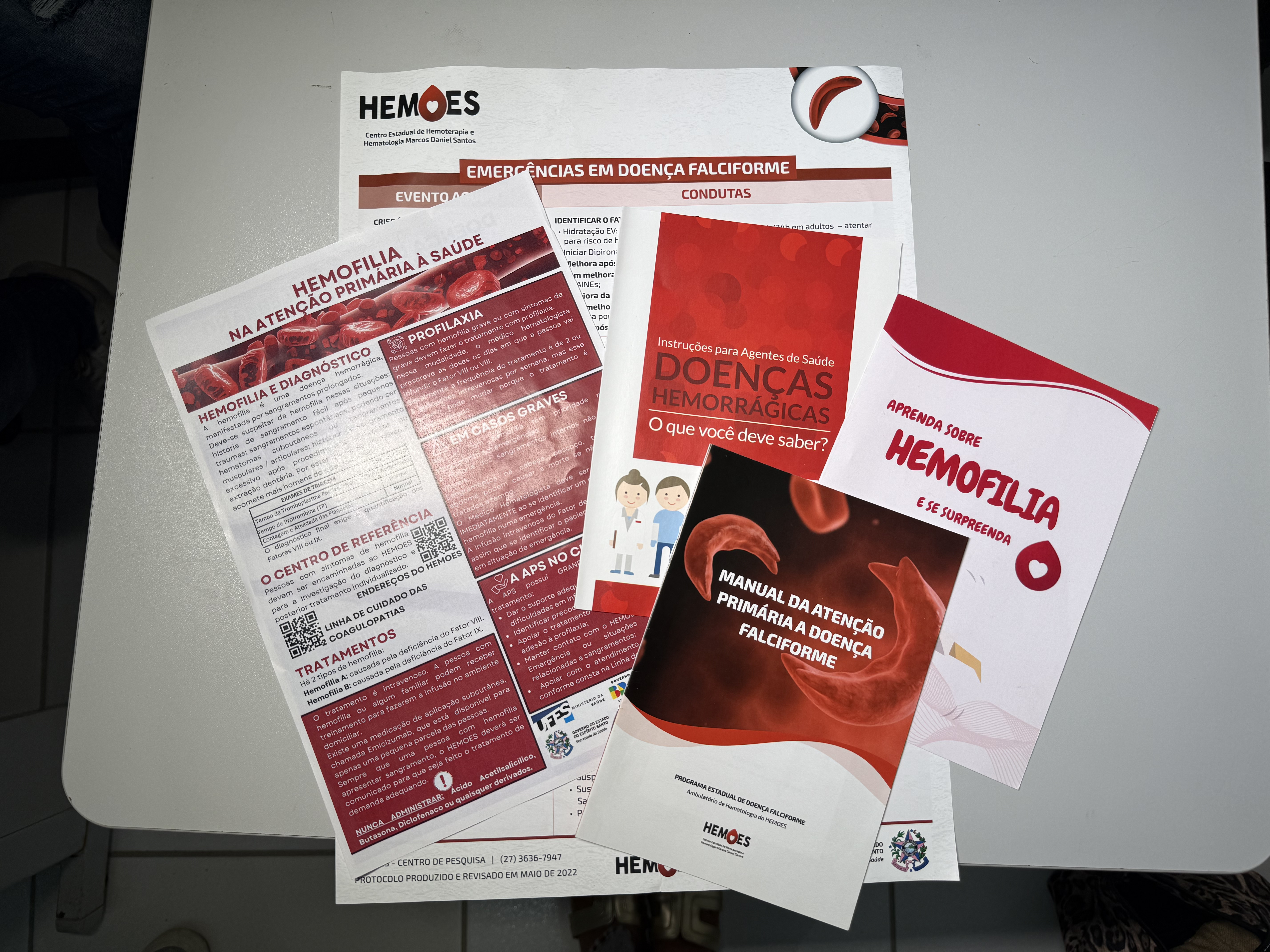 SEMINÁRIO NORTE-CAPIXABA FORTALECE DEBATE SOBRE DOENÇAS FALCIFORMES E COAGULOPATIAS HEREDITÁRIAS EM SÃO MATEUS